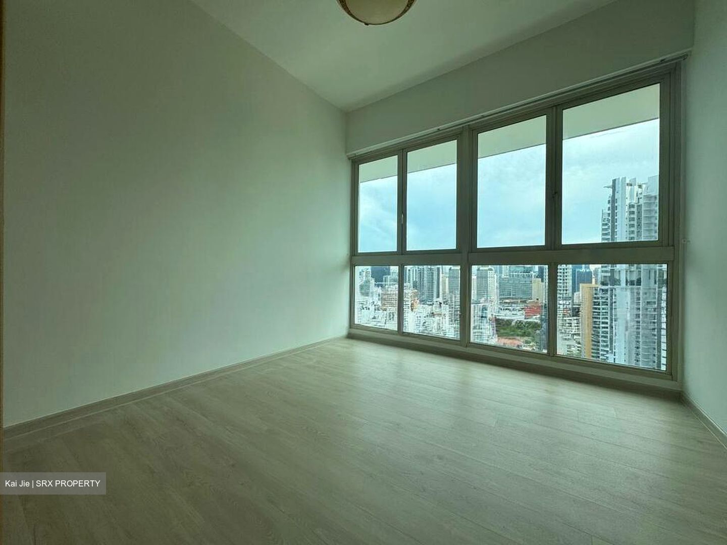 Trellis Towers (D12), Condominium #566246071
